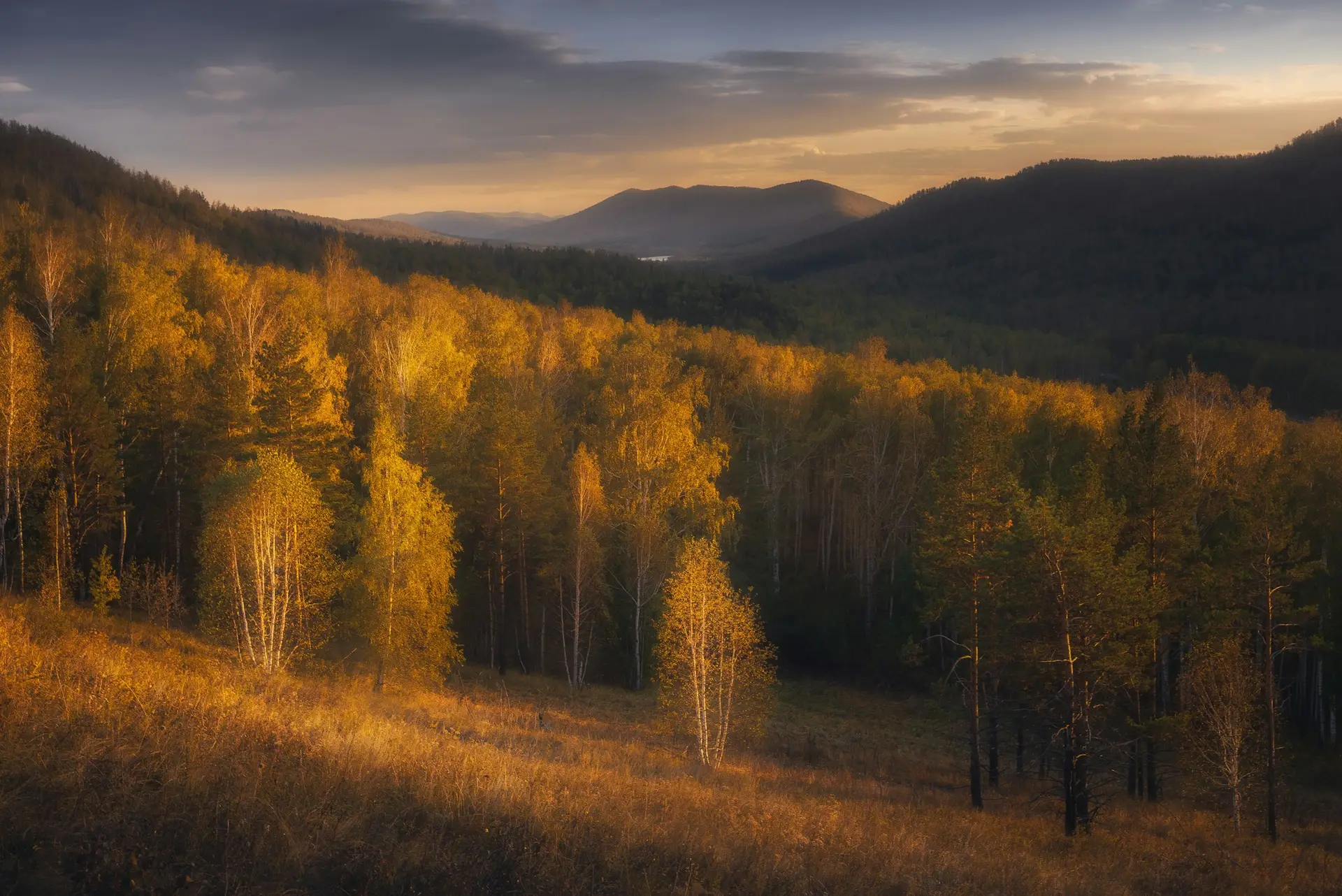 Aspen — wedding photography — 1