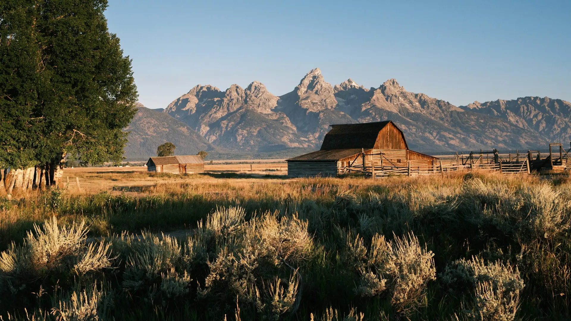 Jackson Hole — wedding photography — 2