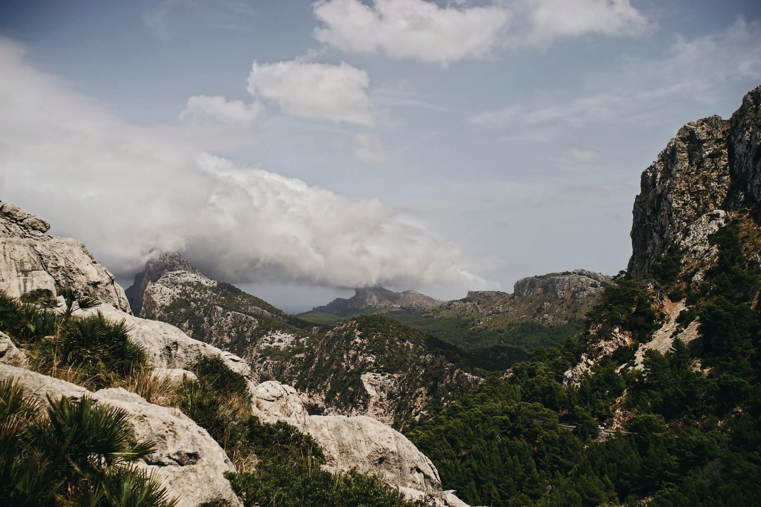 Mallorca — wedding photography