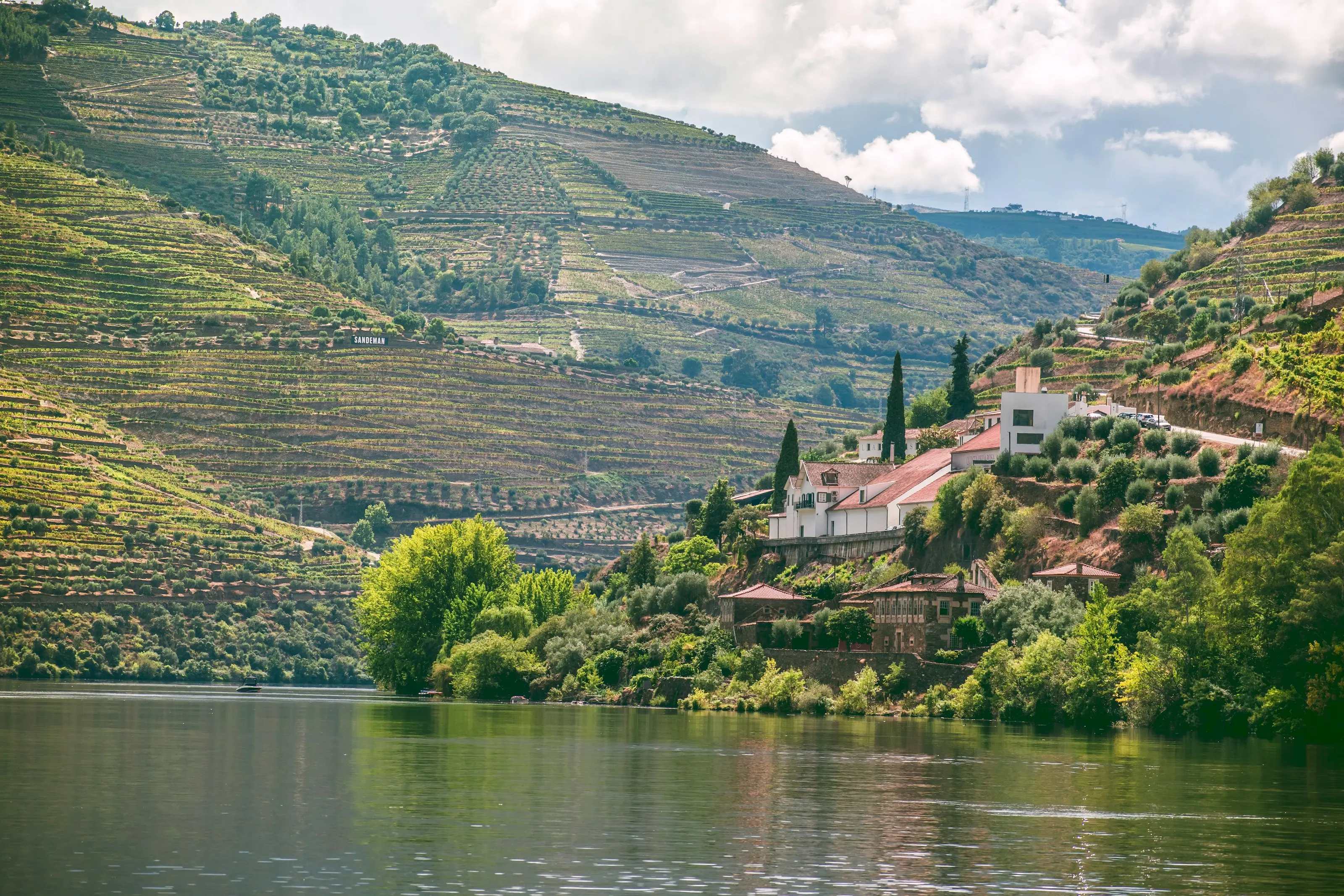 A wedding in Porto & the Douro, Portugal