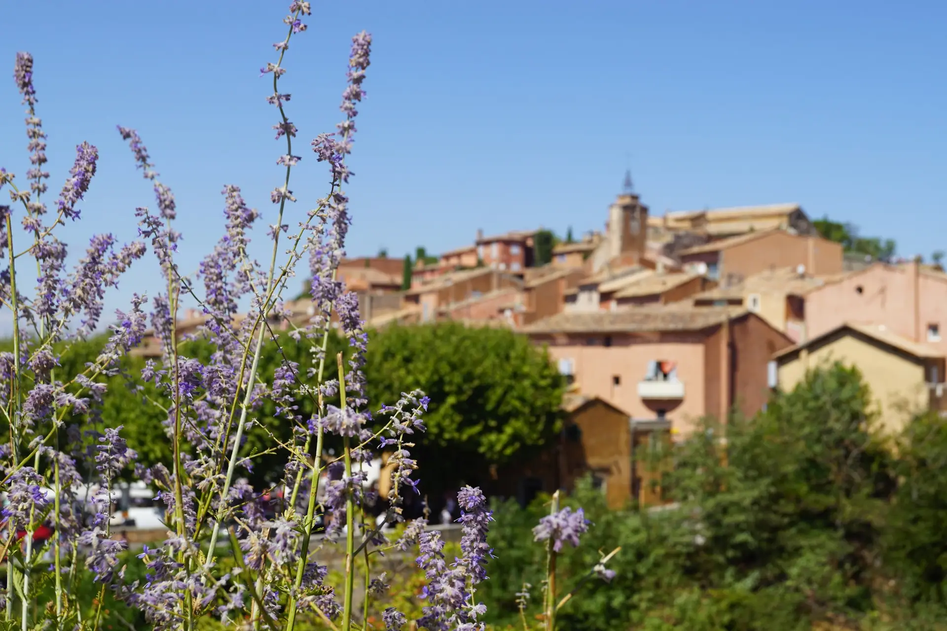 Provence — wedding photography — 1