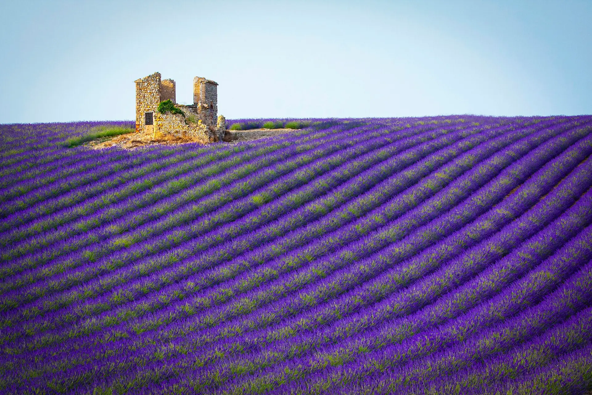 Provence — wedding photography — 2