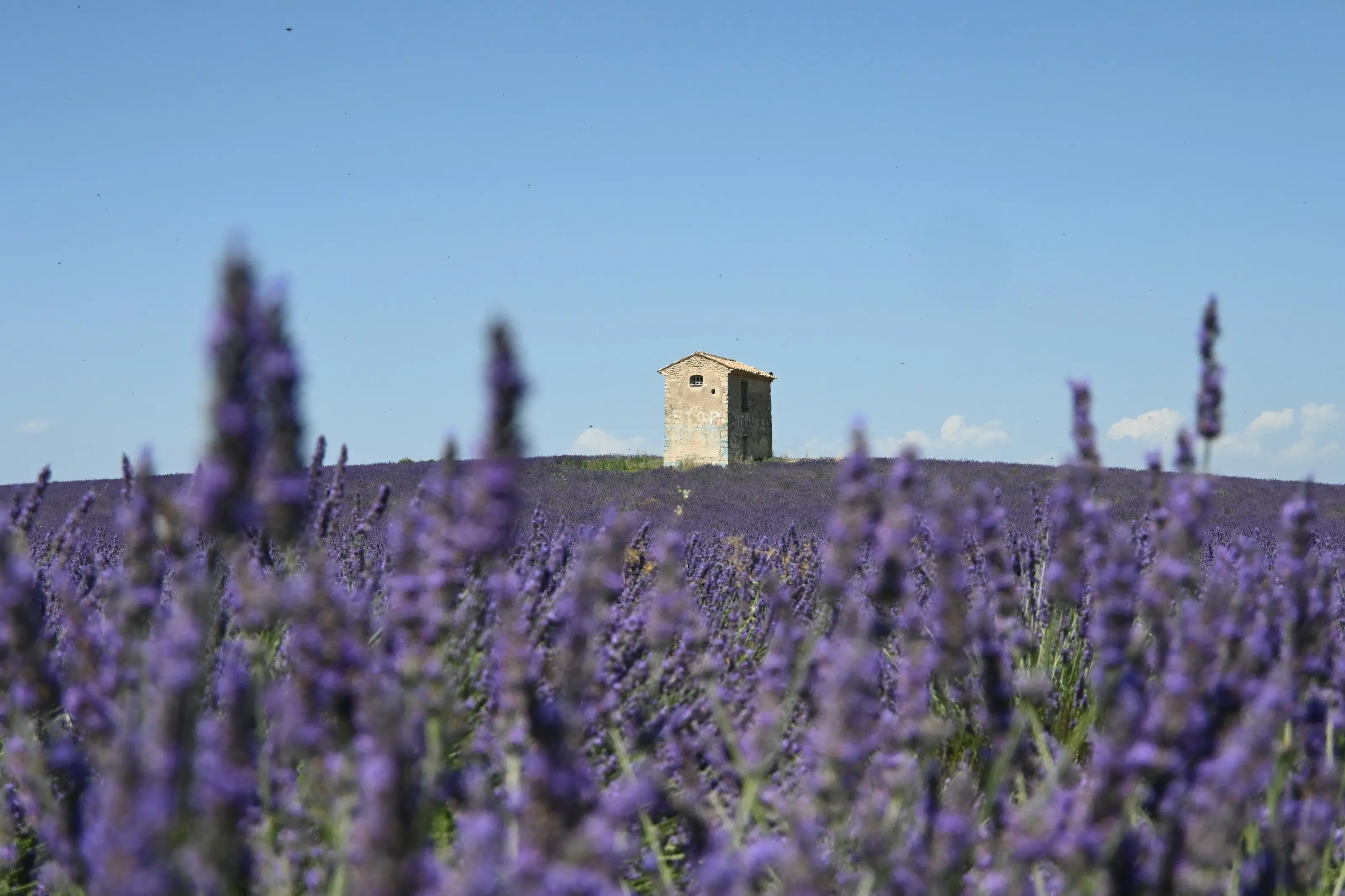 Provence — wedding photography
