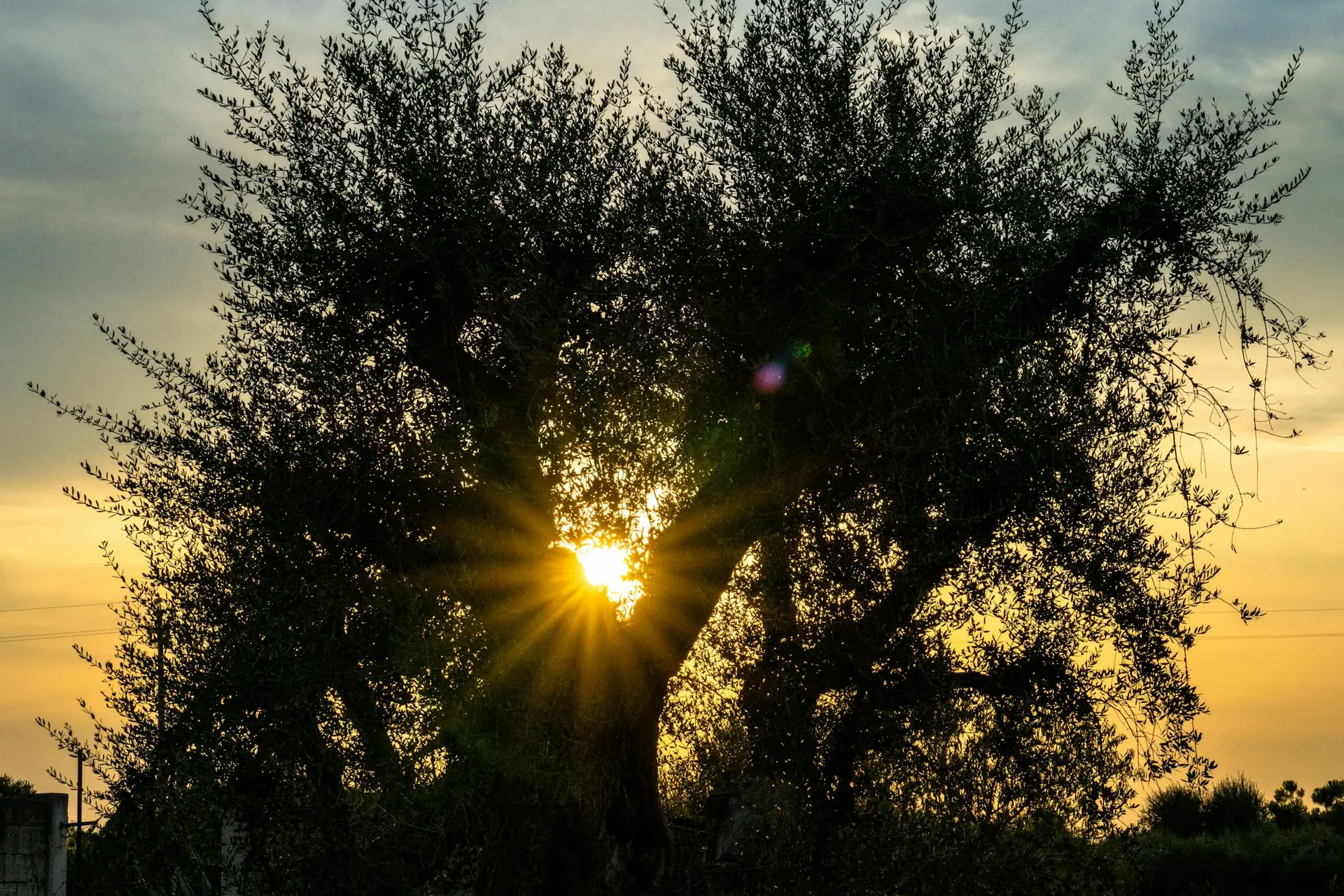 Puglia — wedding photography — 2
