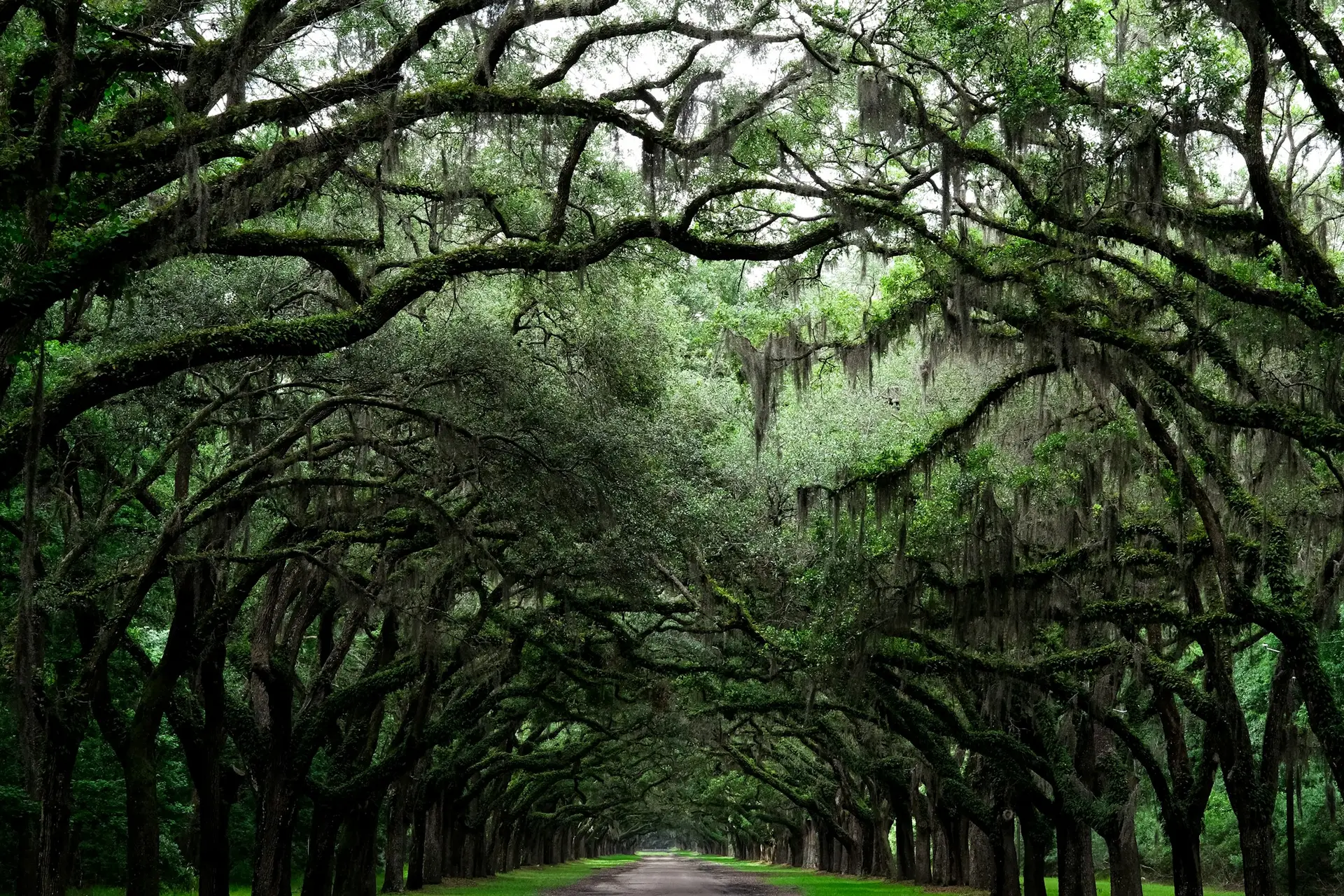 Savannah — wedding photography — 2